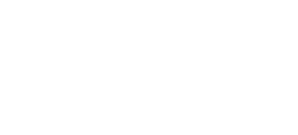 THE ORGANIC CUP